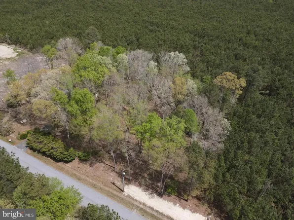 PARCEL Short Rd #D, Harbeson, DE 19951