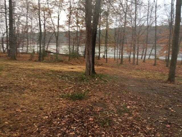 View of lot on Cumberland River