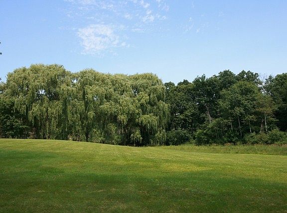 3rd image of 408 S Shannon Dr