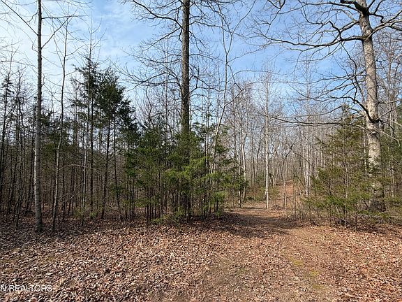 3rd image of Walker Rd