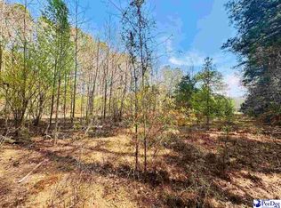 2299 E Main Street Ext, Bennettsville, SC 29512