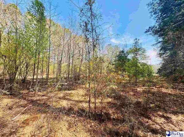 2299 E Main Street Ext, Bennettsville, SC 29512