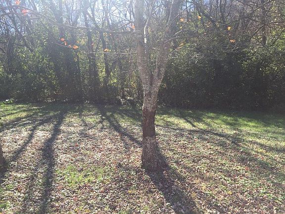 2nd image of 4219 SE Sevierville Pike