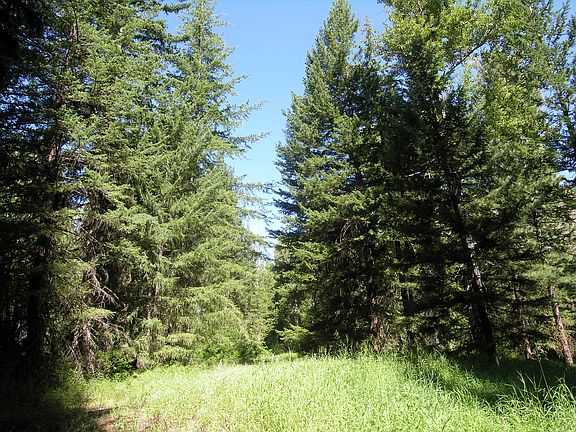 5th image of 212 A West Buttermilk Creek Road