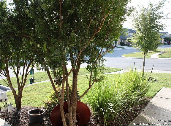 5th image of 3823 Abbey Cir