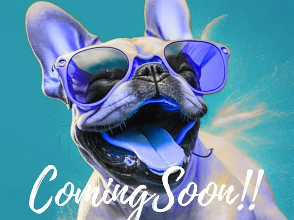 22 Bunker Hill Drive, Howell, NJ 07731