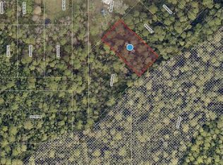 Raccoon St LOT 114, Paisley, FL 32767