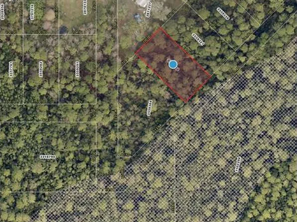 Raccoon St Lot 114, Paisley, FL 32767