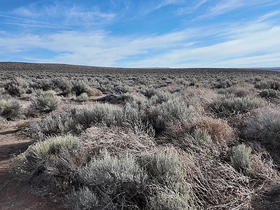 2nd image of Old Lake Rd #200