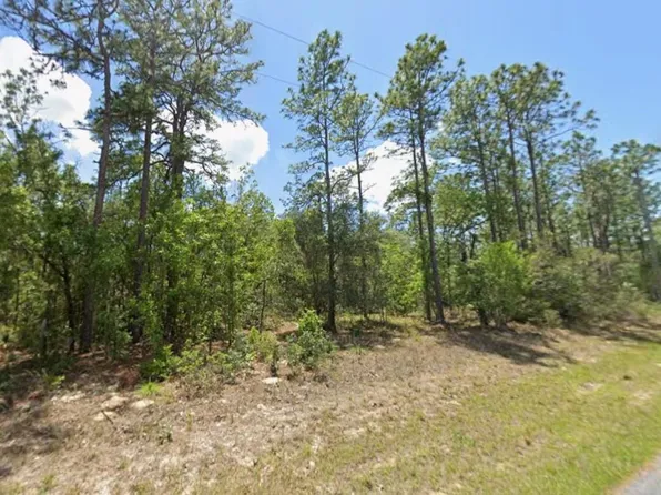 3658 W Galleon St, Citrus Springs, FL 34433