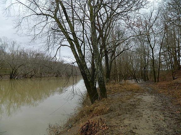 2nd image of 150 Brown Ridge Rd