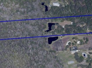 2890 Cory Ct, Mims, FL 32754