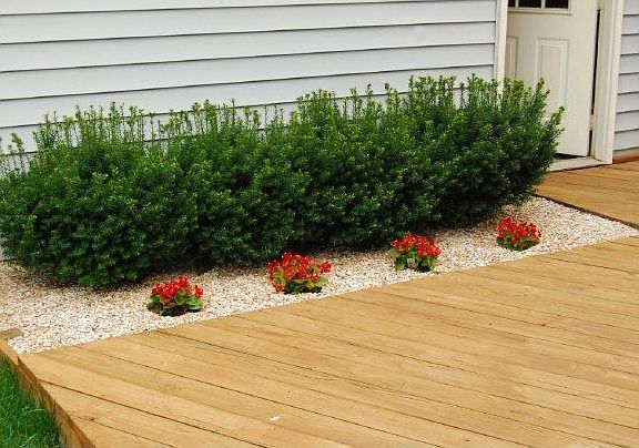 New stained well maintained wood patio and flower bed