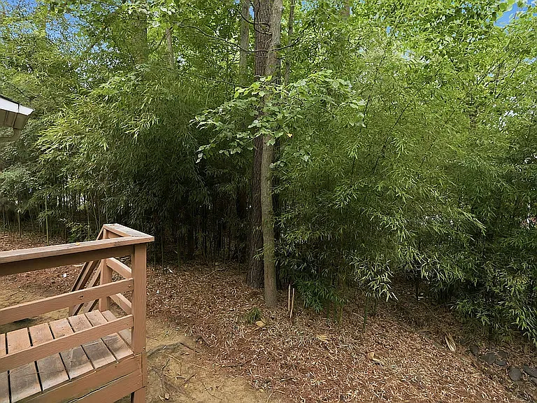 101 Thomas Ln #B1 — Photo 30