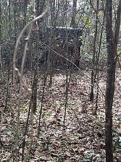 5th image of 50 E Pinhook Rd