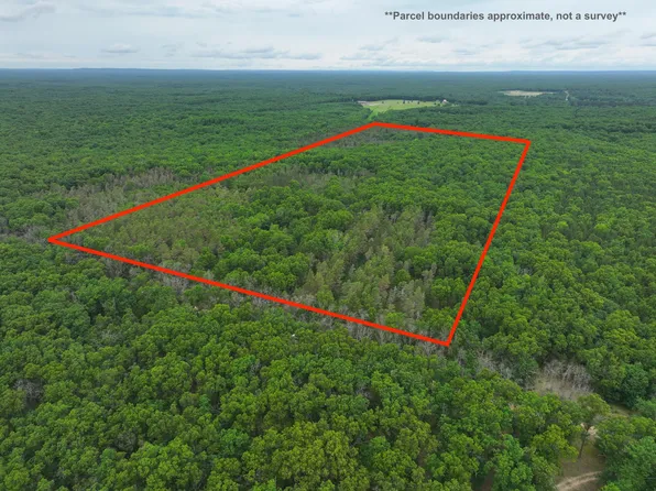 7376 W Seven Mile Rd, Irons, MI 49644