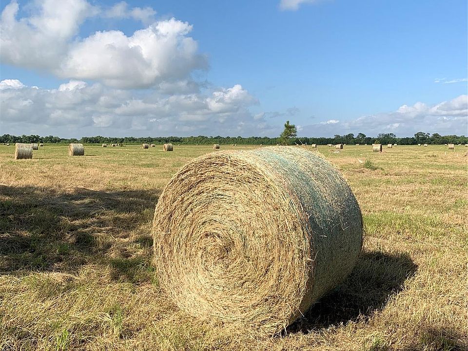 1st image of 380 County Road 613