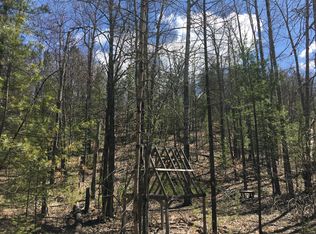 16123 Gooseberry Rd, Wolverine, MI 49799