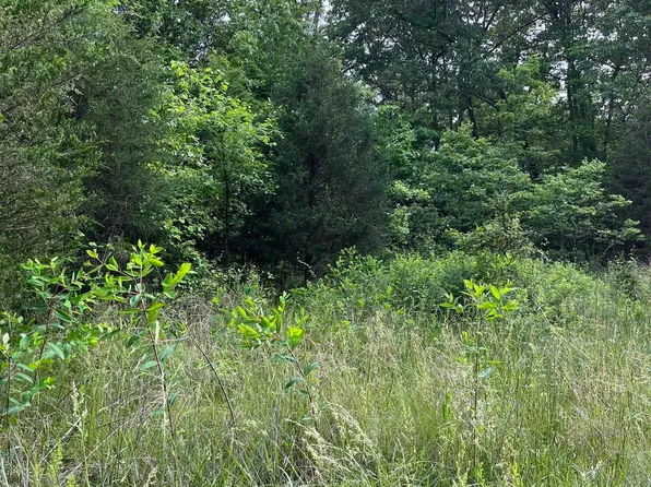 (undisclosed Address), Horseshoe Bend, AR 72512
