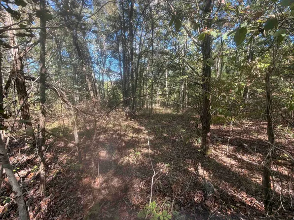 Doll Conway Rd, Clifton, TN 38425
