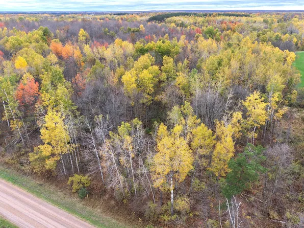 0 W Townline Rd, Ojibwa, WI 54862