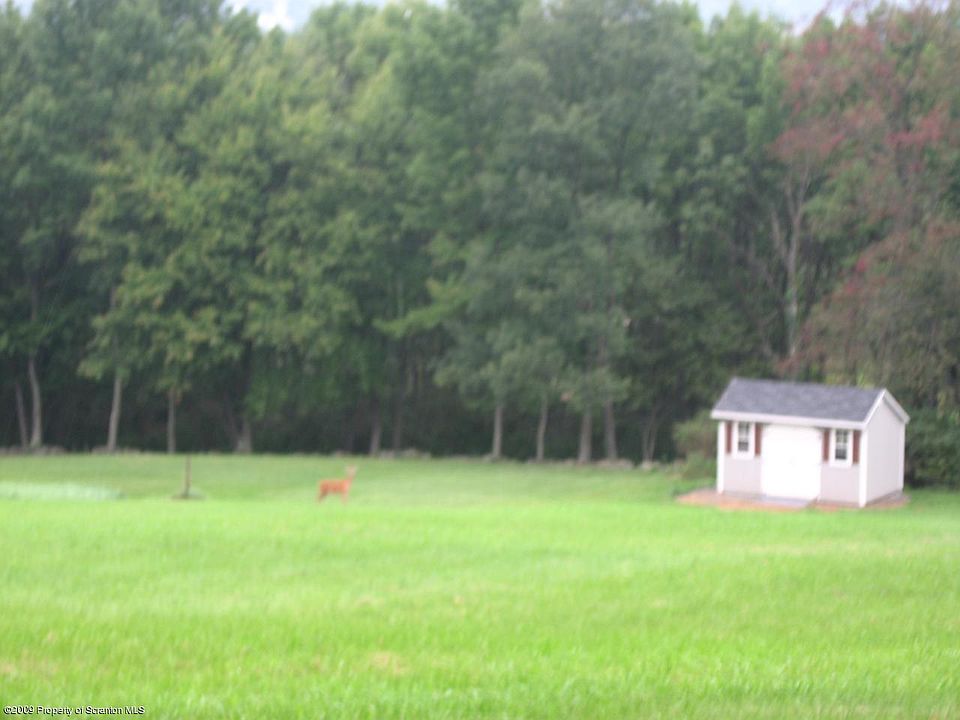 1st image of Old Orchard Ln