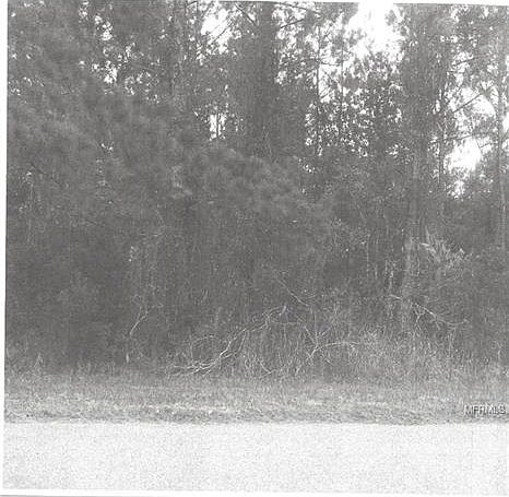 2nd image of Wekiva Pines Blvd