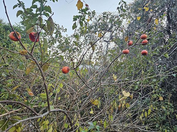 4th image of 320 Main St