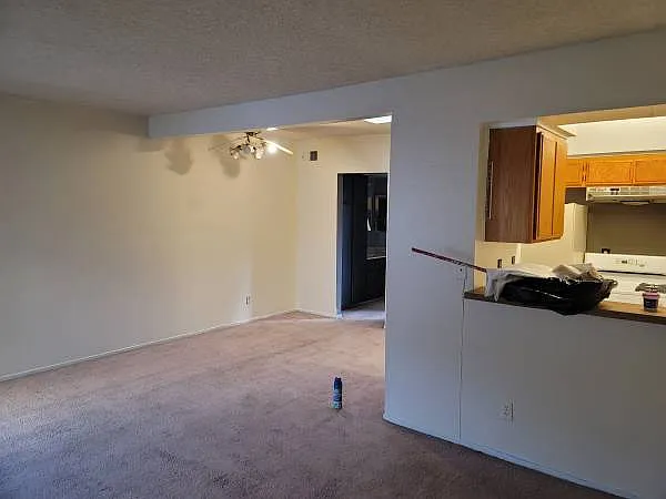 5280 Colodny Dr — Photo 2