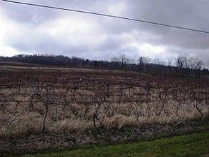 2nd image of 8282 Hardscrabble Rd