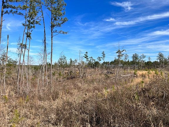 Recently Clearcut and Ready for Reforestation or Conversion to Pature of Other Use