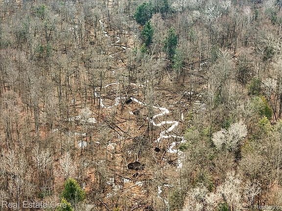 3rd image of V/l 1 Mile Rd