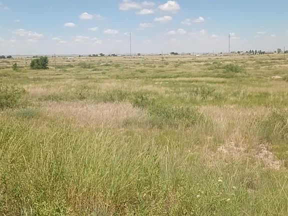 4th image of Marion Richards Rd