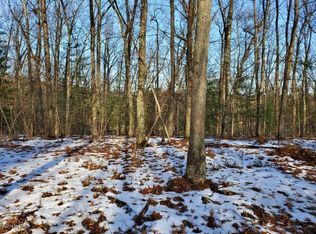 11250 S Roby Lake Dr, Baldwin, MI 49304