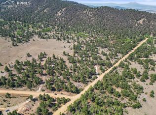 3948 S Muley Gulch Dr, Hartsel, CO 80449