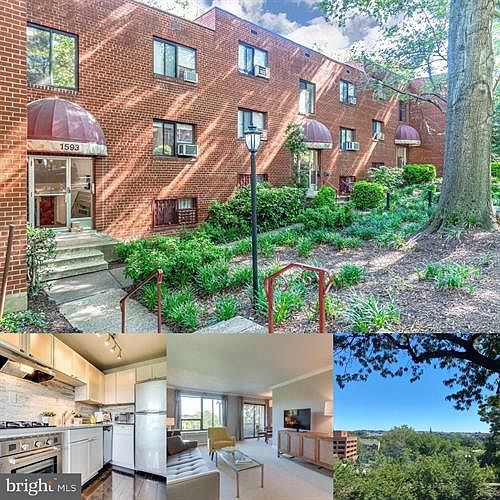 1st image of 1593 N Colonial Ter APT 305X