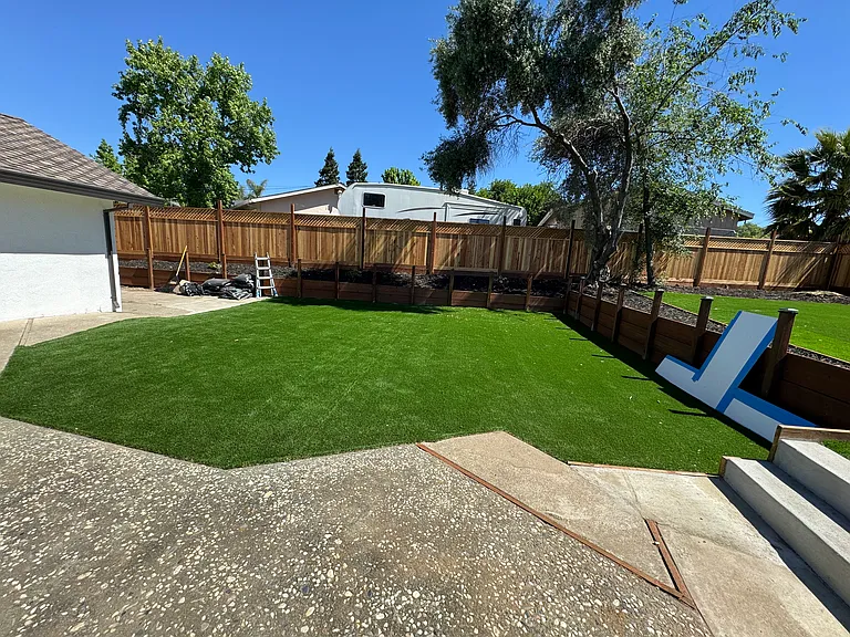 Backyard