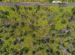 Ao Road Rd #2-LOT 2844, Mountain View, HI 96771