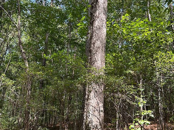 5th image of 0 County Road 87