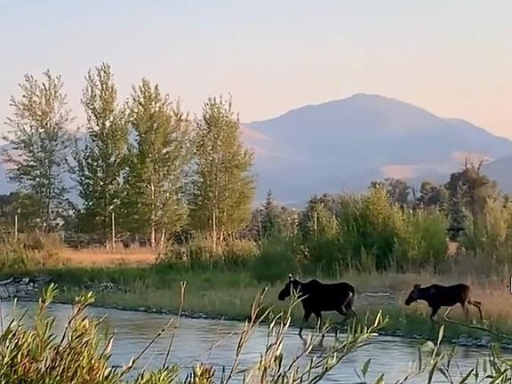 2nd image of 90.95 W Houston Rd