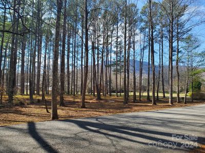 0 Fox Briar Dr #4, Columbus, NC, 28722