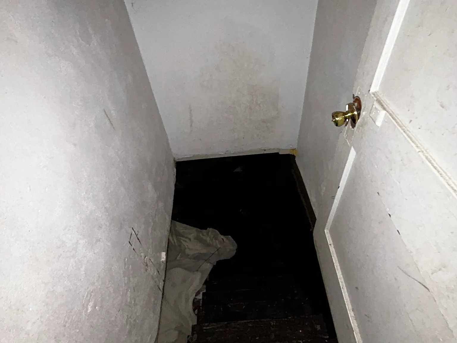 2 bed, 832 sqft, $800 — Photo 4