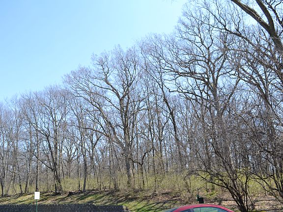 2nd image of 200 Willow Ln APT 217