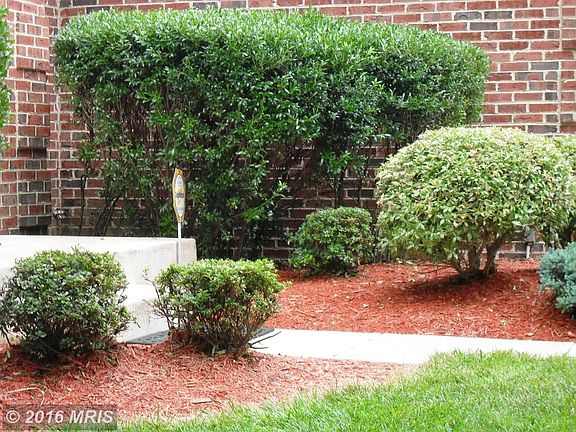 2nd image of 15409 Milton Hall Pl