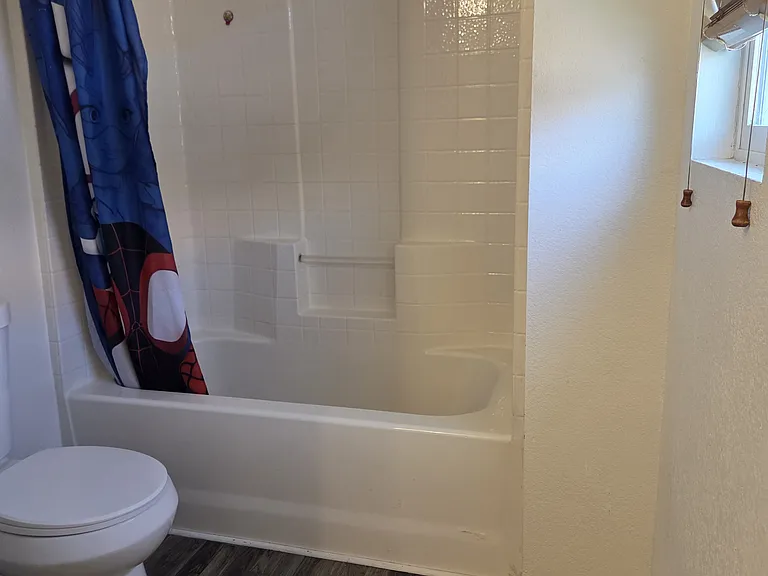 tub & toilet