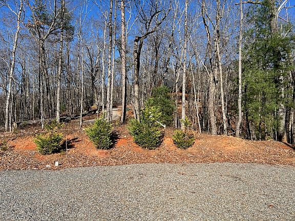 4th image of 673 Willard Mountain Rd