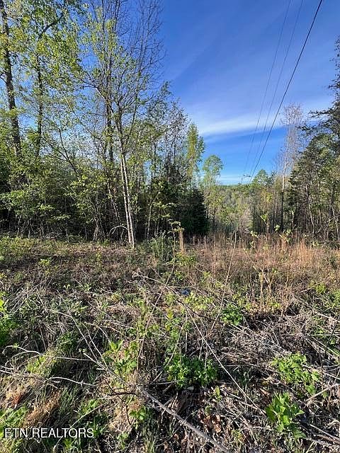 1st image of Pine Hollow Rd