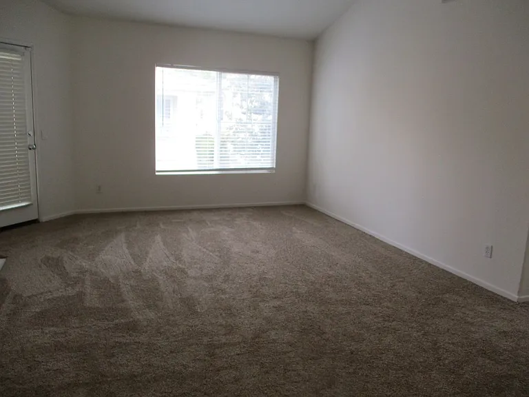 710 Caminito Valiente — Photo 5