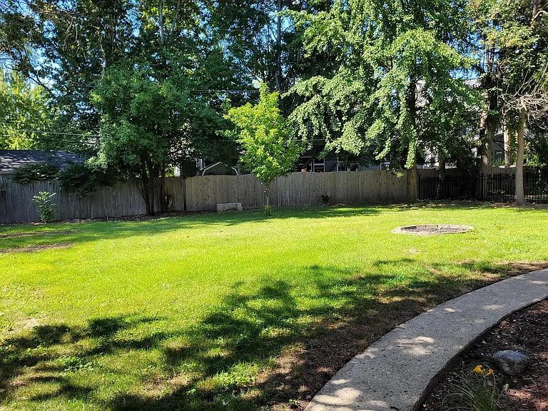 Back Yard