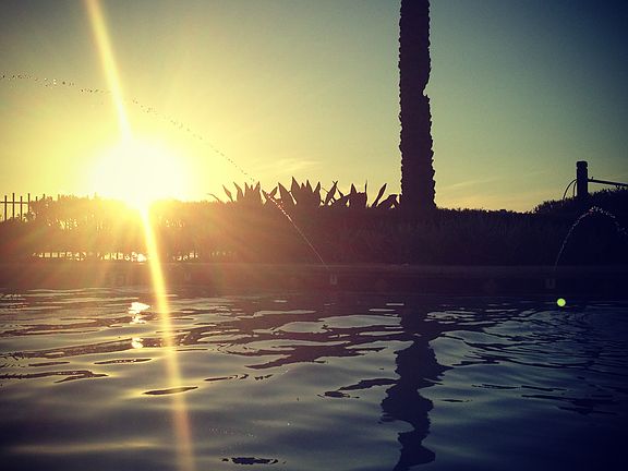 Pond